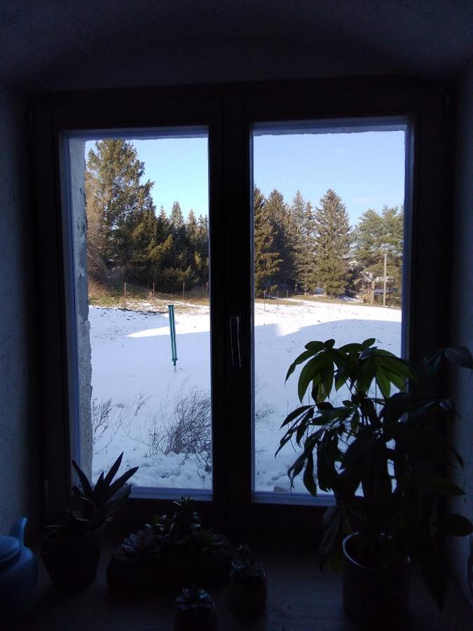 Monteur-Ferienwohnung Ot Naundorf Naundorf  Exterior foto